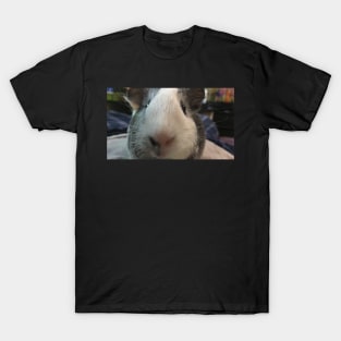 Nose boop pig T-Shirt